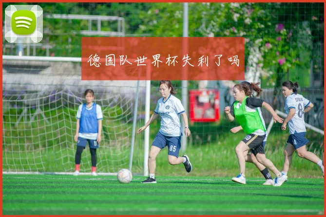 德国队世界杯失利了吗