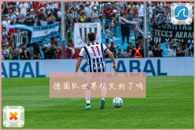 德国队世界杯失利了吗