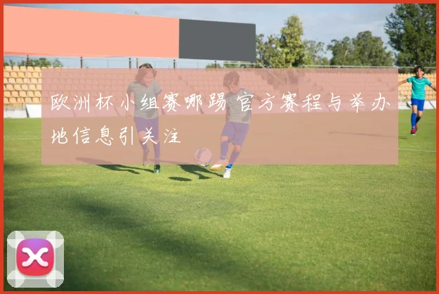 欧洲杯小组赛哪踢 官方赛程与举办地信息引关注