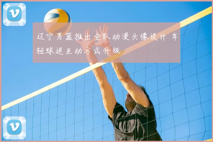 辽宁男篮推出全队动漫头像设计 年轻球迷互动方式升级