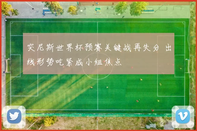 突尼斯世界杯预赛关键战再失分 出线形势吃紧成小组焦点