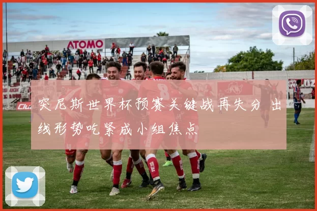 突尼斯世界杯预赛关键战再失分 出线形势吃紧成小组焦点