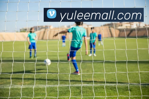 滚球买球的app平台生态图